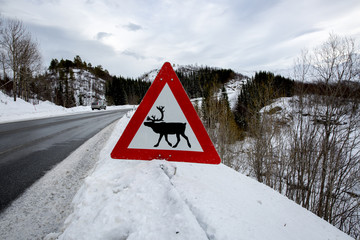 Norwegian reindeer warning road sign