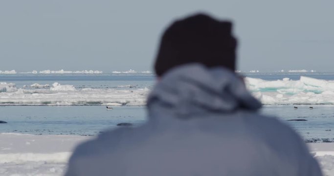 Pan across tourist showing backs of whales in sea ice