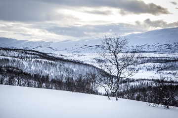 Snowy Norwegian mountain landscape, Nordland, Norway