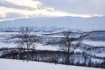 Snowy Norwegian mountain landscape, Nordland, Norway