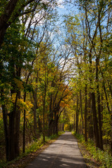 Naklejka premium come this way