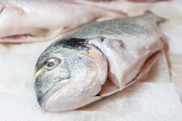 raw fish on kitchen table , preparingfresh fish