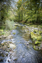Torrent, river running through the mountain