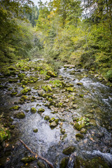 Torrent, river running through the mountain
