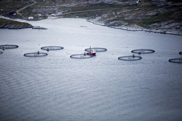 Obraz premium Norwegian landscape with fish farm in a fjord, taken during the Traenafestival, music festival taking place on the small island of Traena