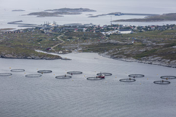 Obraz premium Norwegian landscape with fish farm in a fjord, taken during the Traenafestival, music festival taking place on the small island of Traena