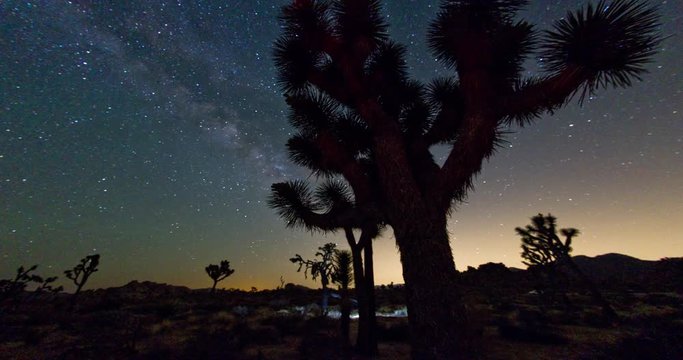 Joshua Tree National Park. Stargazing the Beautiful Night in this Desert Landscape. 