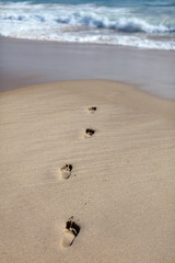 Footprints in the sand, at the beach, Cova do Vapor, Portugal