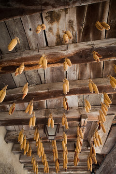 Corn drying, Medieval village of Perouges, France