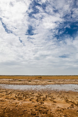 Landscape natural park Djouj Senegal, Africa