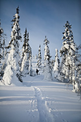 Winter Finnish snowy lanscape