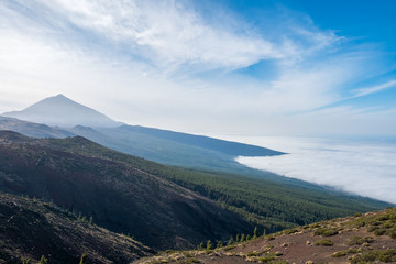 Forest, mountain landscape - blue sky and clouds
