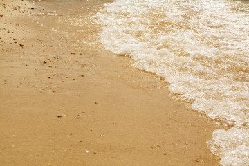 sand of beach sea