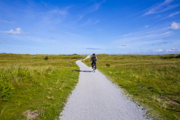 Obraz premium People cycling on a bike path through the dune landscape of Frisian Island Amsland, the Netherlands