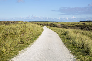 Fototapeta na wymiar Cycling lane through the sand dune covered with beach grass, Ameland, The Netherlands