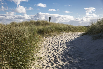 beach with sand dunes and a path to the sea