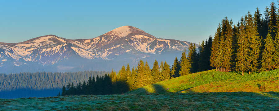 Fototapeta Forest in spring mountains