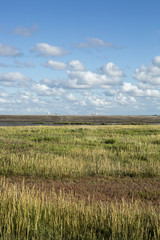 Maritime landscape with heathland, blue sky and cloud, Waddenzee, Friesland, The Netherlands