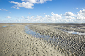 Fototapeta na wymiar Maritime landscape with blue sky white clouds and pattern in the sand, Waddenzee - Wadden Sea, Friesland, The Netherlands