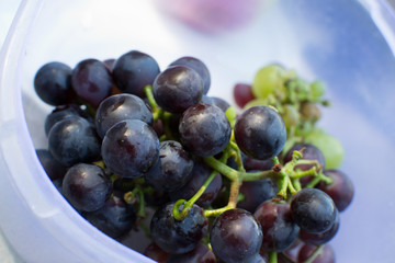 Dark grapes in plate