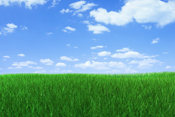 Grass with clipping PATH