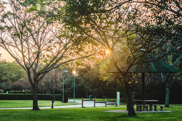 Villa-Lobos Park in San Paulo (Sao Paulo), Brazil (Brasil)