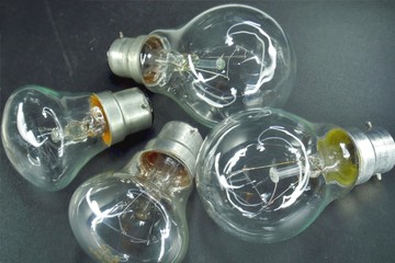 bulbs on the table