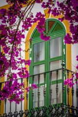 Window and purple flowers © Pav-Pro Photography 