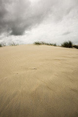 Fototapeta na wymiar view on a sandy dune with cloudy sky