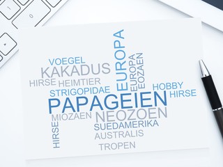 Papageien