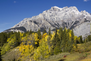 Fototapeta na wymiar Mountain with fall color 