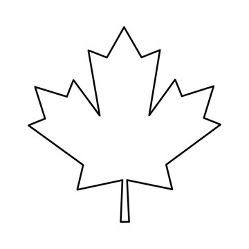 maple leaf green sign canadian outline vector illustration eps 10
