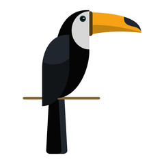 brazilian toucan bird nature vector illustration eps 10 © Jemastock