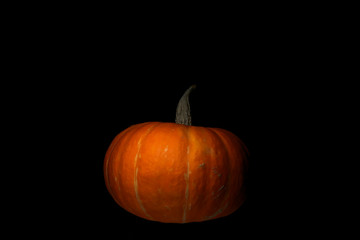 Pumpkin on black background