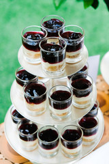 berries cheeze pie in shot glass  for party