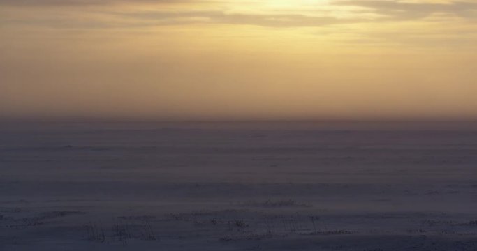 Arctic tundra under gold light and blowing snow in ground blizzard