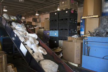 cardboard and paper being baled and ready to be recycled