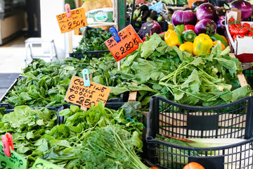 greenery on street market in Padua city