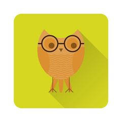 Flat owl icon