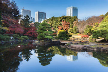Fototapeta na wymiar Japanese garden in Autumn with Tokyo city skyline in background