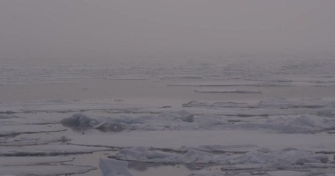 Sea Ice Sliding Quickly Past in the Arctic Fog