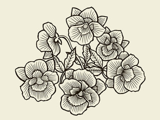 Orchid flower blossom