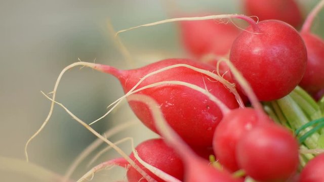 radishes on the market stall: change of focus