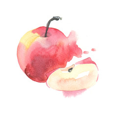 Fruits in watercolor style. Isolated. - 129747483