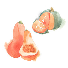 Vegetables in watercolor style. Isolated.