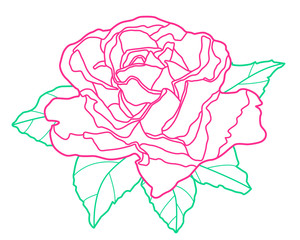 Outline rose flower