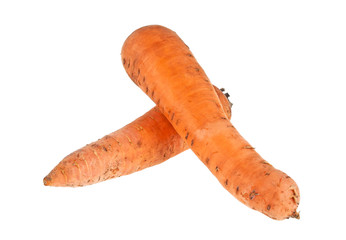 Carrot isolated on a withe background