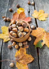 hazelnuts and autumn leaves