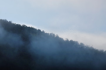 mist floating and cover mountain slope
