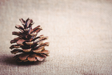 Christmas background, single cone on linen fabric with empty copy space on the side.